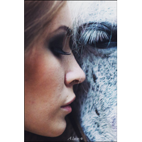 Love Horse Â©_2-K4qUxkNoyJYSGkML8jp2MM8kSmpicSH9.jpg